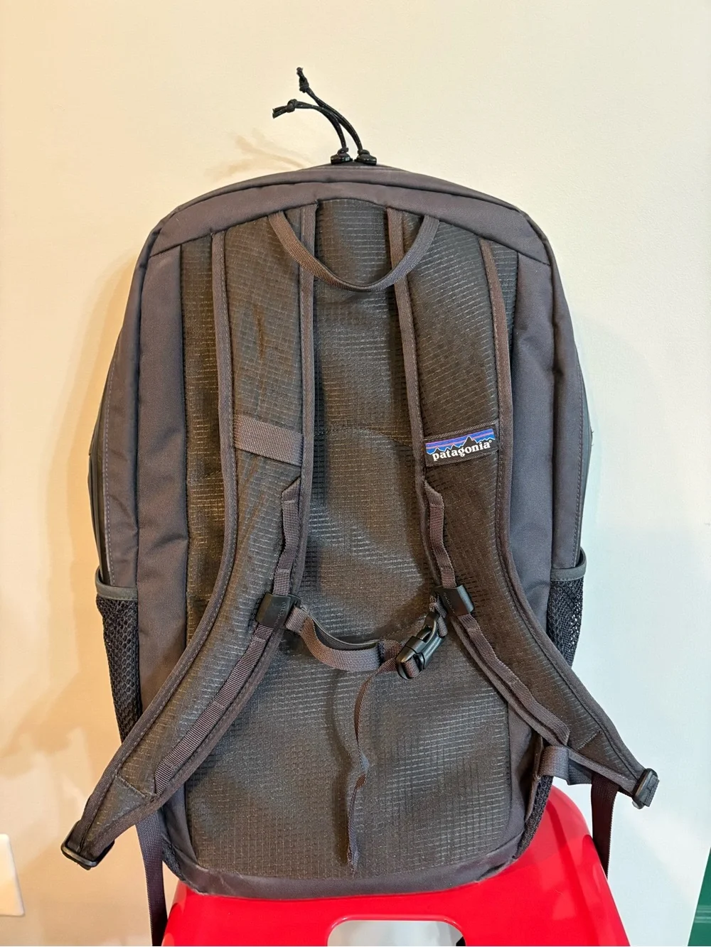 Patagonia Black Mesh Front Backpack
